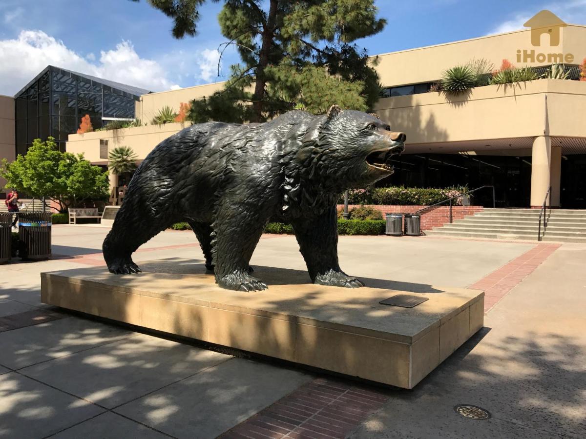 Perfect Apt Near Ucla W Parking Gym Pool Wifi In Westwood B3 Los Angeles Exterior foto